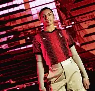 -亚冠倒计时，AC米兰关键时刻绝杀压哨，细节引发关注，悬念犹存，纪律约束更严格