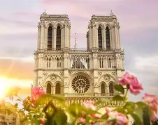 法国杯赛后再迎强敌；萨克拉门托国王主帅复盘；主帅态度——质疑声仍在；医务组通报恢复